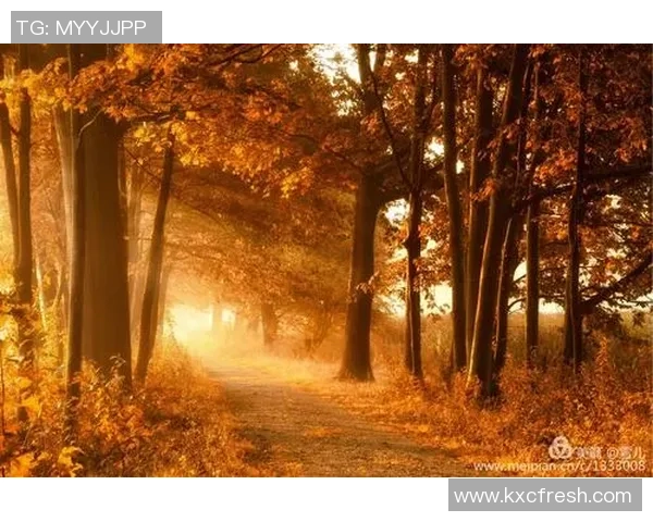 《绿茵传奇：从草根少年到世界足球之巅的辉煌征程》